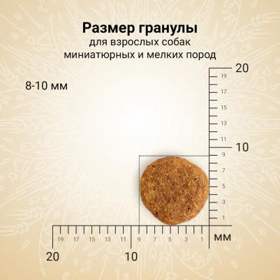 Корм для собак Natura для миниатюрных и мелких пород, лосось с сельдью сух. 2кг – фото 2