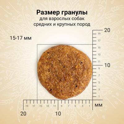 Корм для собак Natura для средних и крупных пород, из курицы и индейки сух. 640г – фото 6