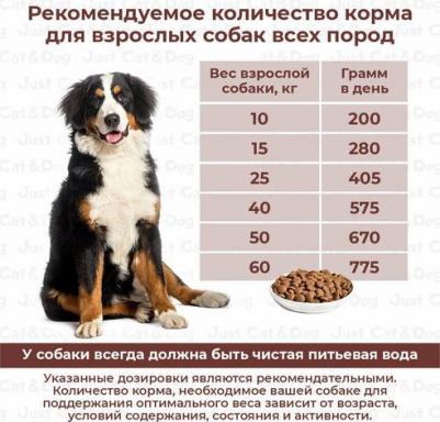 Сухой корм для собак для взрослых полнорационный рагу из курицы с рисом 1 кг – фото 3