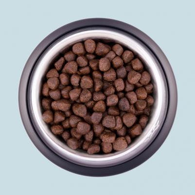 Regional Ocean Сухой корм для собак, с лососем и треской, 12 кг – фото 4