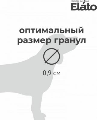 Корм для собак Holistic для мелких пород, курица с уткой сух. 500г – фото 7