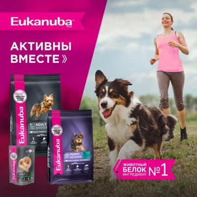 Корм для собак для миниатюрных пород сух. 500г – фото 2