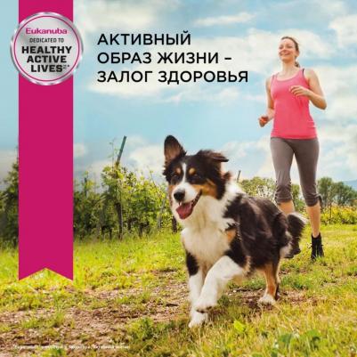 Корм для собак для миниатюрных пород сух. 500г – фото 6