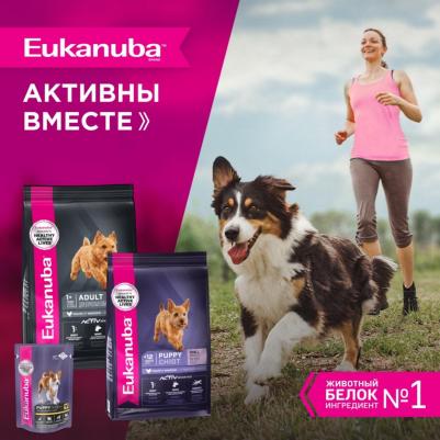 Сухой корм Puppy Large Breed with Chicken с курицей для щенков крупных пород 3кг – фото 2