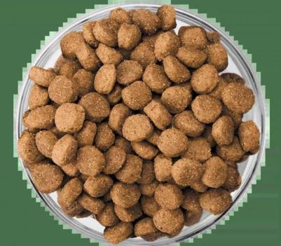 Сухой корм Puppy Large Breed with Chicken с курицей для щенков крупных пород 3кг – фото 12