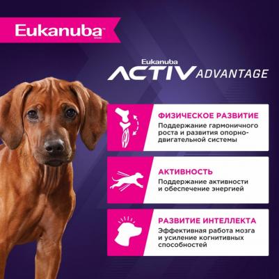 Сухой корм Puppy Large Breed with Chicken с курицей для щенков крупных пород 3кг – фото 17