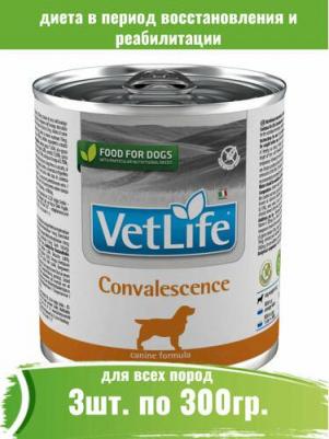 Консервы Vet Life Convalescence Canine диета в период выздоровления для собак 300г – фото 3