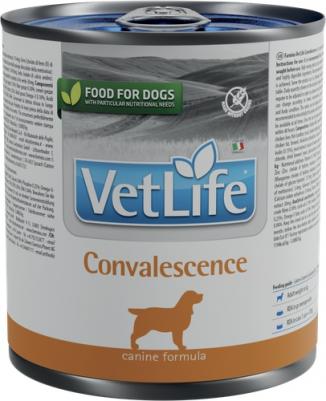 Консервы Vet Life Convalescence Canine диета в период выздоровления для собак 300г – фото 5