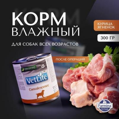 Консервы Vet Life Convalescence Canine диета в период выздоровления для собак 300г – фото 6