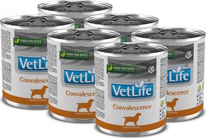 Консервы Vet Life Convalescence Canine диета в период выздоровления для собак 300г – фото 10