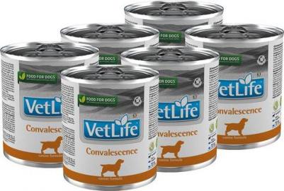 Консервы Vet Life Convalescence Canine диета в период выздоровления для собак 300г – фото 12