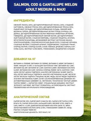 Корм сухой Dog Ocean с лососем треской и дыней для взрослых собак средних и крупных пород 2.5 кг – фото 1