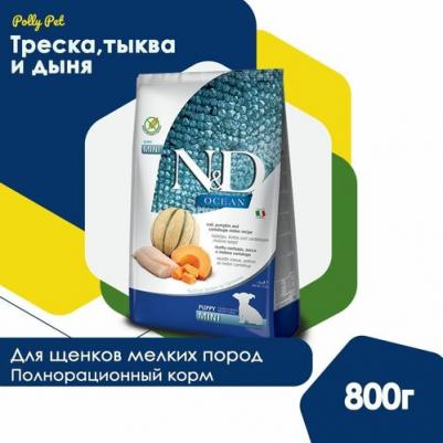 Корм сухой OCEAN PUMPKIN для щенков MINI треска, тыква, дыня 0,8 кг – фото 1
