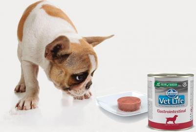 корм Vet Life Natural Diet Gastrointestinal паштет диета для собак 0,3 кг – фото 14