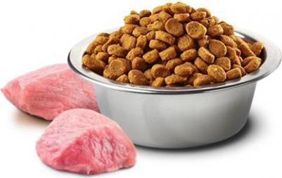 Сухой корм для щенков N&D Grain-Free Canine Pumpkin Lamb & Blueberry Puppy Mini 0,8 кг – фото 2