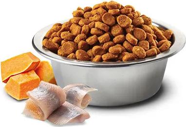 Сухой корм N&D Adult Dog Meduim & Maxi Ocean Codfish, Pumpkin & Orange треской, тыквой и апельсином для собак средних и крупных пород 2,5кг – фото 2