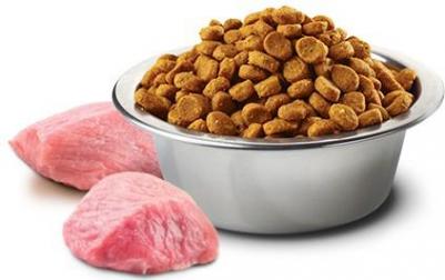 Сухой корм N&D Adult Dog Mini GF Pumpkin Lamb & Blueberry беззерновой с ягненком черникой и тыквой для собак мелких пород 800г – фото 12