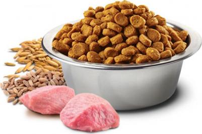 Сухой корм N&D Adult Dog Mini LG Lamb & Blueberry низкозерновой с ягненком и черникой для собак мелких пород 800г – фото 8