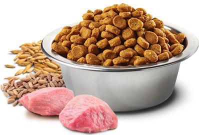 Сухой корм N&D Puppy Mini LG Lamb & Blueberry низкозерновой с ягненком и черникой для щенков мелких пород 800г – фото 1