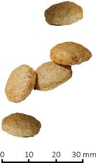 Сухой корм VET LIFE Canine Hypoallergenic Fish&Potato диета для собак 2 кг – фото 6