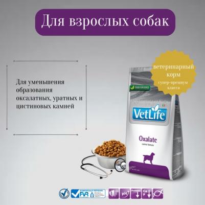 Сухой корм Vet Life Oxalate Canine диета при профилактики МКБ уратного, оксалатного и цистиного типа для собак 2кг – фото 5