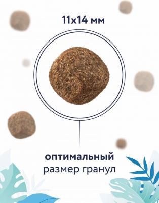 Холистики prof (профилактика) 4609997474953 – фото 6