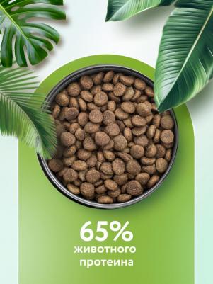 Сухой корм для взрослых собак средних пород с ягненком и грушей, 1 кг – фото 6