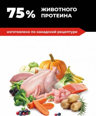 'KITCHEN CARNIVORE Grain Free 4 вида мяса: курица, индейка, лосось и утка, полнорационный беззерновой сухой корм для взрослых собак всех пород 4640201673458 – фото 12