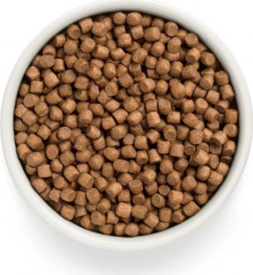 Сухой корм для щенков Fresh ягненок, батат, 3 кг – фото 1