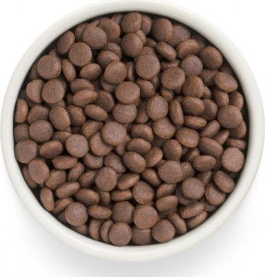 Сухой корм для собак Fresh, для средних и крупных пород, утка, батат, 10 кг – фото 1