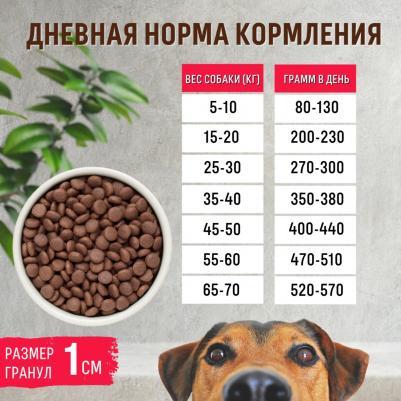 Сухой корм для собак Maxi Lamb&Rice 12 кг – фото 16
