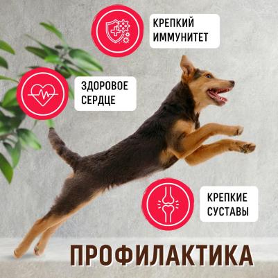 Сухой корм для собак Maxi Lamb&Rice 12 кг – фото 20