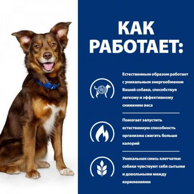 Сухой корм Prescription Diet Metabolic Canine диета для собак 1,5 кг – фото 17