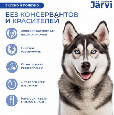 паштет с говядиной для собак всех пород (100 г) – фото 1