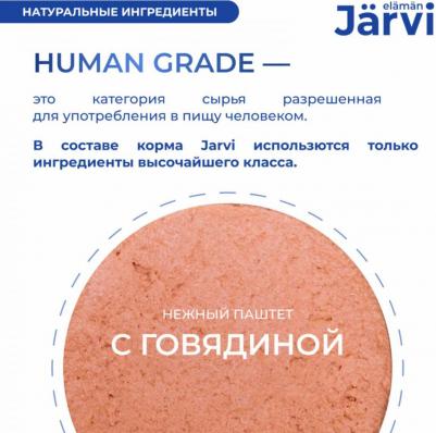 паштет с говядиной для собак всех пород (100 г) – фото 4