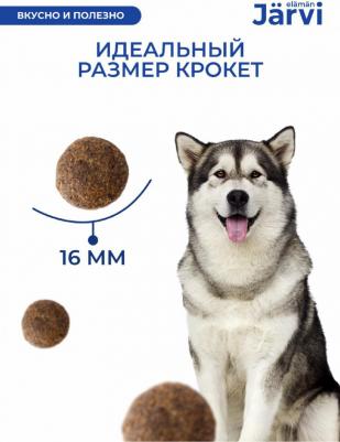 сухой корм для взрослых собак средних и крупных пород с говядиной 4627803596453 – фото 9