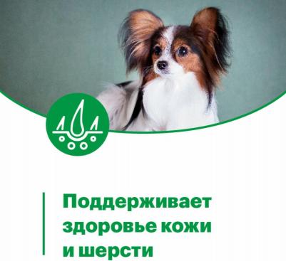 Mini Adult влажный корм для собак мелких пород с индейкой мясные кусочки в соусе - 80 г – фото 6