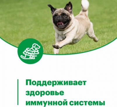 Mini Adult влажный корм для собак мелких пород с индейкой мясные кусочки в соусе - 80 г – фото 10