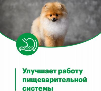 Mini Junior влажный корм для щенков мелких пород с ягненком мясные кусочки в соусе - 80 г – фото 11