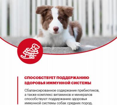 Сухой корм для щенков с индейкой для средних пород 14 кг – фото 7