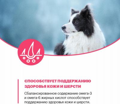 Сухой корм для собак с лососем для средних и крупных пород с чувствительным пищеварением 14 кг – фото 1