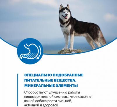 Сухой корм для собак с телятиной для крупных пород 14 кг – фото 11