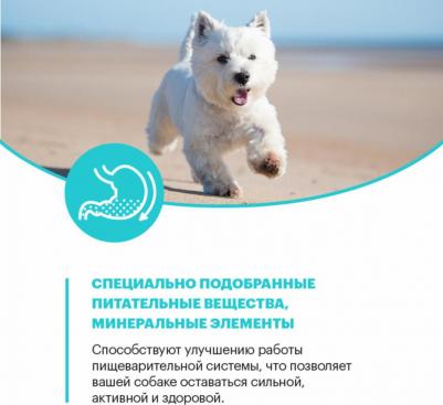 Сухой корм для собак с ягненком для маленьких пород 10 кг – фото 3