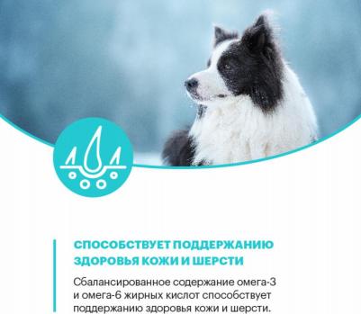 Сухой корм для собак с ягненком для средних и крупных пород 14 кг – фото 2