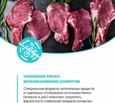 Сухой корм для собак с ягненком для средних и крупных пород 14 кг – фото 6