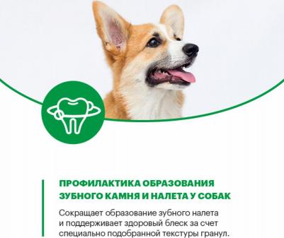 Сухой корм для собак, телятина, 1шт., 10кг – фото 6