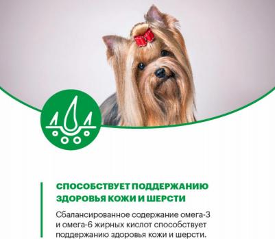 Сухой корм Mini Junior Dog Индейка для щенков мелких пород в возрасте до 1 года 2кг – фото 1