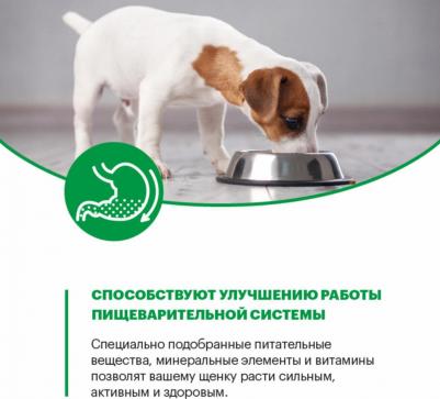 Сухой корм Mini Junior Dog Индейка для щенков мелких пород в возрасте до 1 года 2кг – фото 6