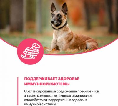 Сухой корм Sensitive Dog Medium & Maxi Лосось для собак средних и крупных пород с чувствительным пищеварением 2кг – фото 5