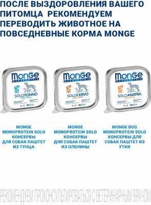 корм для собак VetSolution, при дерматологических заболеваниях, беззерновой 1 уп. х 12 шт. х 150 г – фото 10